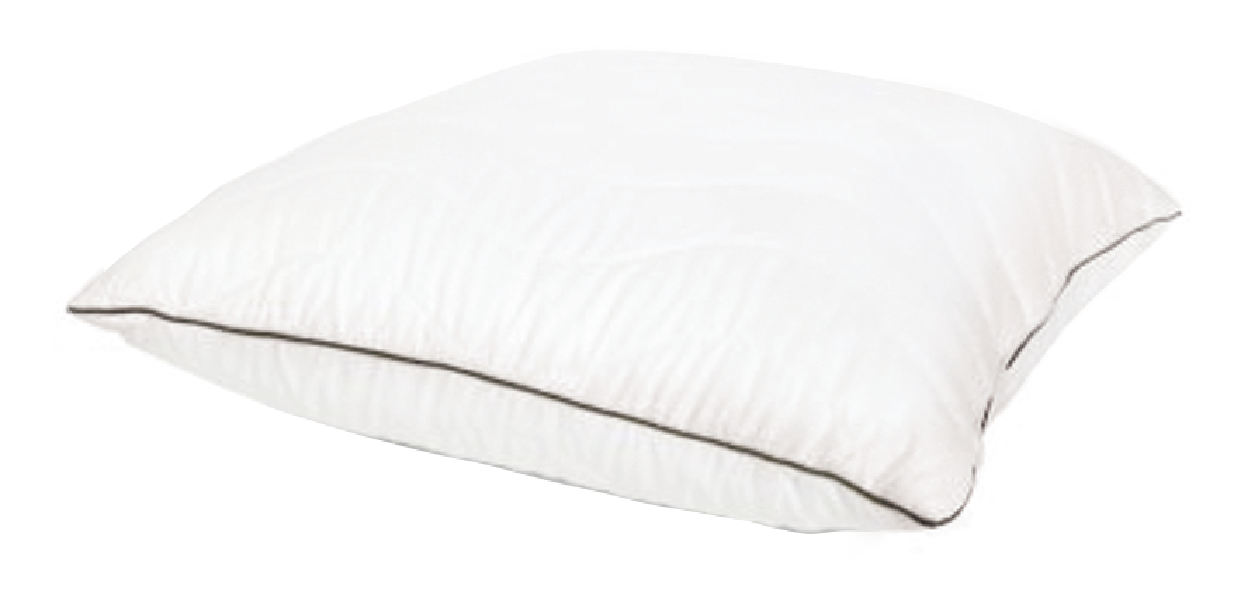 Moderne Pillow-Hypo Allergenic Lifestyle by Canadian