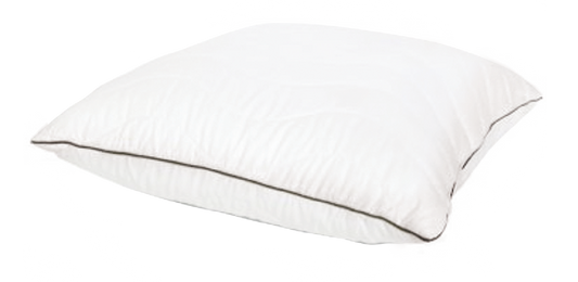 Moderne Pillow-Hypo Allergenic Lifestyle by Canadian