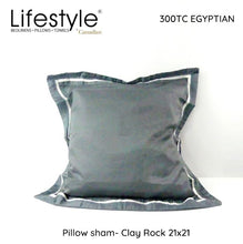 Load image into Gallery viewer, Lifestyle by Canadian T300 Egyptian Pillowsham with Pillow 21x21 inch
