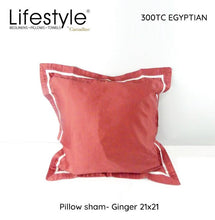Load image into Gallery viewer, Lifestyle by Canadian T300 Egyptian Pillowsham with Pillow 21x21 inch
