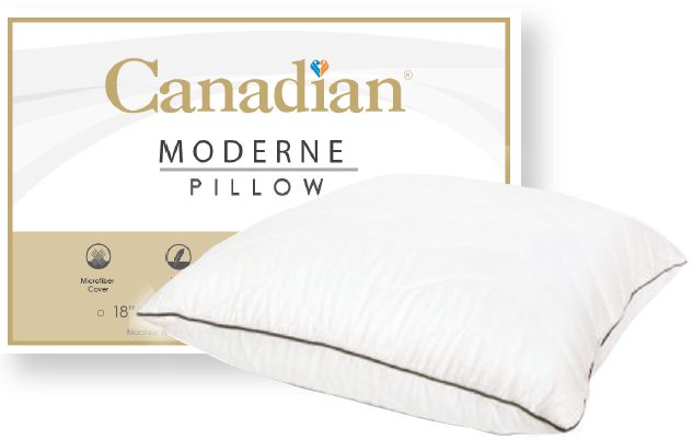 Moderne Pillow-Hypo Allergenic Lifestyle by Canadian