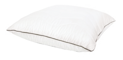 Moderne Pillow-Hypo Allergenic Lifestyle by Canadian