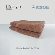 Load image into Gallery viewer, USA COTTON SUPER ABSORBENT TOWEL  2PC. BATH TOWEL SET ( 1111 )
